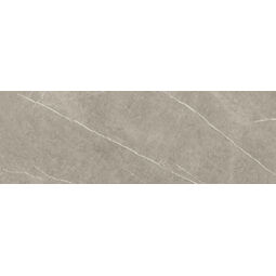 Baldocer, Eternal, BALDOCER ETERNAL TAUPE PŁYTKA ŚCIENNA 33.3X100 