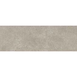 Baldocer, Icon, BALDOCER ICON GREY PŁYTKA ŚCIENNA 30X90 