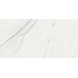 Baldocer, Nikea, BALDOCER NIKEA GRES REKTYFIKOWANY 60X120 