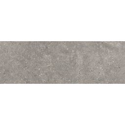 Baldocer, Stoneland, BALDOCER STONELAND GREY PŁYTKA ŚCIENNA 40X120 