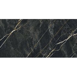 Baldocer, Wacom, BALDOCER WACOM FOREST GRES PULIDO REKTYFIKOWANY 60X120 