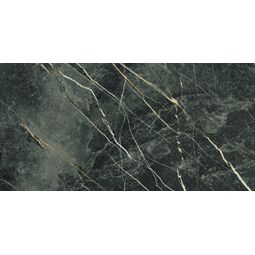 Baldocer, Wacom, BALDOCER WACOM MOSS GRES PULIDO REKTYFIKOWANY 60X120 