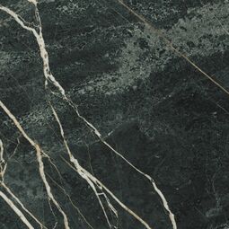 Baldocer, Wacom, BALDOCER WACOM MOSS GRES PULIDO REKTYFIKOWANY 60X60 