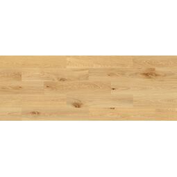 Barlinek, Next Step Spc Aura, BARLINEK DĄB SOPHIA PANEL WINYLOWY 122X24X0.52 (DP0000004) 