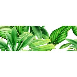 Bianca, Premium, BIANCA GARDEN TROPIC A DEKOR 25X75 