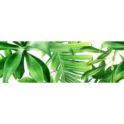 Bianca, Premium, BIANCA GARDEN TROPIC B DEKOR 25X75 