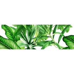 Bianca, Premium, BIANCA GARDEN TROPIC C DEKOR 25X75 