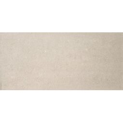 Ceracasa, Fossil, CERACASA FOSSIL BONE GRES 60X120 