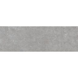 Ceramica Saloni, B-Stone, CERAMICA SALONI B-STONE GRIS PŁYTKA ŚCIENNA 40X120 