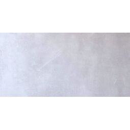 Netto, Cemento Canberra, NETTO CEMENTO CANBERRA SHINY PŁYTKA ŚCIENNA 30X60 