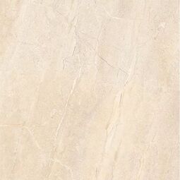 Netto, Dyna, NETTO DYNA SILVER GRES POLER REKTYFIKOWANY 60X60 