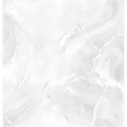 Netto, Onyx, NETTO ONYX SILVER GRES POLER REKTYFIKOWANY 60X60 