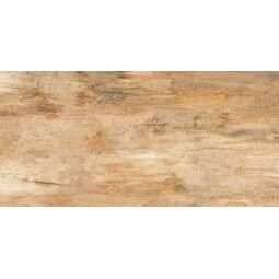 Netto, Walnut, NETTO WALNUT BROWN GRES REKTYFIKOWANY 60X120 