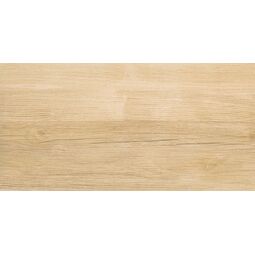 Ceramika Color, Board, CERAMIKA COLOR BOARD GRES 30X60 