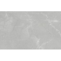 Ceramika Color, Corda, CERAMIKA COLOR CORDA GREY PŁYTKA ŚCIENNA 25X40 