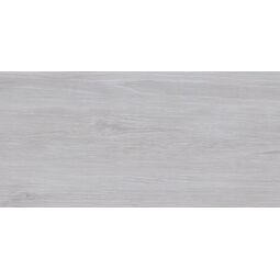 Ceramika Color, Lakewood, CERAMIKA COLOR CCR40-1 LAKEWOOD GREY PŁYTKA ŚCIENNA 30X60 