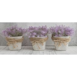 Ceramika Color, Max, CERAMIKA COLOR MAX SOFT GREY DEKOR 30X60 