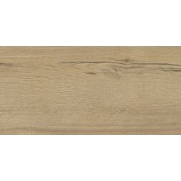 Ceramika Color, Oak, CERAMIKA COLOR CCR34-1 OAK HONEY PŁYTKA ŚCIENNA 30X60 