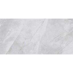 Ceramika Color, Sergia, CERAMIKA COLOR CCR69-1 SERGIA GREY PŁYTKA ŚCIENNA 30X60 