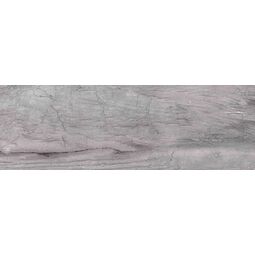 Ceramika Color, Terra, CERAMIKA COLOR TERRA GREY PŁYTKA ŚCIENNA 25X75 G1 