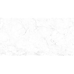 Ceramstic, Adiana, CERAMSTIC ADIANA GRES MAT REKTYFIKOWANY 60X120 (GRA.920A.M) 