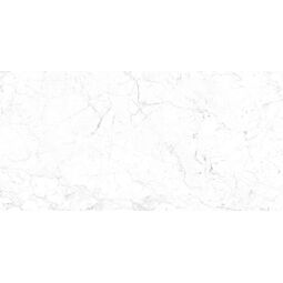 Ceramstic, Adiana, CERAMSTIC ADIANA GRES POLER REKTYFIKOWANY 60X120 (GRS.920A.P) 