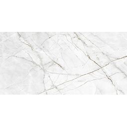 Ceramstic, Filo, CERAMSTIC FILO SILVER GRES CARVING REKTYFIKOWANY 60X120 (GRS.541A.C) 