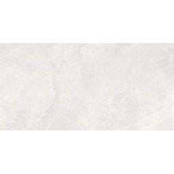 Ceramstic, Formigo, CERAMSTIC FORMIGO GREY LIGHT MAT GRES REKTYFIKOWANY 60X120 (GRS.996A.M) 