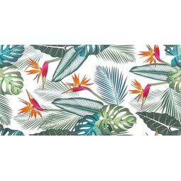 Ceramstic, Inserto, CERAMSTIC PRADO STRELA DEKOR 30X60 (DGL.270C.SRL) 