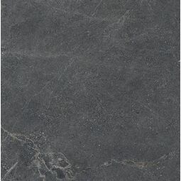 Cerrad, Distinct, CERRAD DISTINCT GRAPHITE SILKY CRISTAL GRES REKTYFIKOWANY 59.7X59.7 