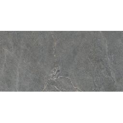 Cerrad, Distinct, CERRAD DISTINCT GREY SILKY CRISTAL GRES REKTYFIKOWANY 59.7X119.7 