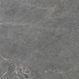 Cerrad, Distinct, CERRAD DISTINCT GREY SILKY CRISTAL GRES REKTYFIKOWANY 59.7X59.7 