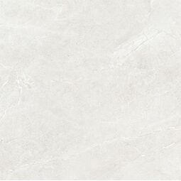 Cerrad, Distinct, CERRAD DISTINCT ICE GRES REKTYFIKOWANY 119.7X119.7 