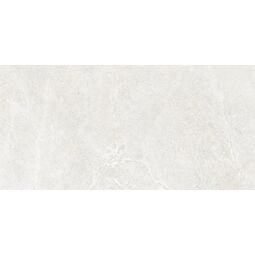 Cerrad, Distinct, CERRAD DISTINCT ICE GRES REKTYFIKOWANY 59.7X119.7 