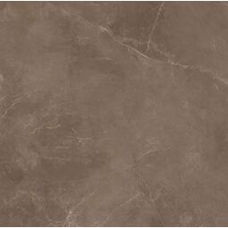 Cerrad, Softstone, CERRAD SOFTSTONE BROWN GRES REKTYFIKOWANY 59.7X59.7 