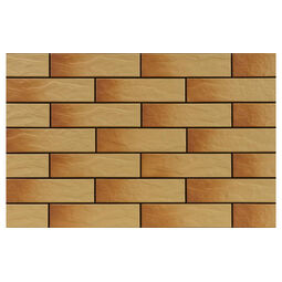 Cerrad, Gobi, CERRAD GOBI RUSTIKO ELEWACJA MAT 6.5X24.5 