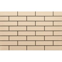 Cerrad, Krem, CERRAD KREM GŁADKA ELEWACJA MAT 6.5X24.5 