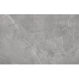 Cerrad - New Design, Stonemood - Cerrad, CERRAD STONEMOOD SILVER GRES REKTYFIKOWANY 39.7X79.7 G II 