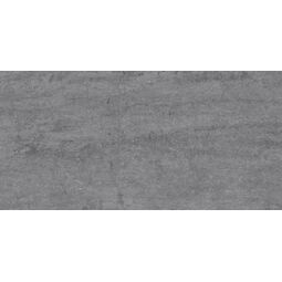 Cerrad - New Design, Dignity, CERRAD DIGNITY GREY GRES REKTYFIKOWANY 59.7X119.7 