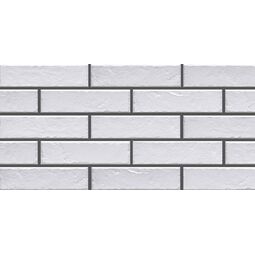 Cerrad - New Design, Foggia, CERRAD FOGGIA BIANCO PŁYTKA ELEWACYJNA 6.5X24.5 