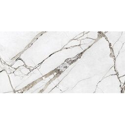 Cerrad - New Design, Ovation, CERRAD OVATION LIGHT GREY GRES REKTYFIKOWANY 59.7X119.7 