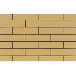 Cerrad, Piaskowa, CERRAD PIASKOWA RUSTYKALNA ELEWACJA MAT 6.5X24.5 