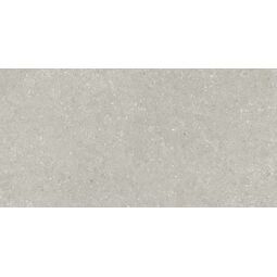 Delconca, Wild, DELCONCA WILD HWD 05 GREY GRES REKTYFIKOWANY 60X120 