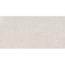 Delconca, Wild, DELCONCA WILD HWD 10 WHITE GRES REKTYFIKOWANY 60X120 