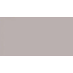 Domino, Colour, DOMINO COLOUR BEIGE MAT PŁYTKA ŚCIENNA 29.8X59.8 