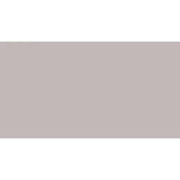 Domino, Colour, DOMINO COLOUR MARRONE  MAT PŁYTKA ŚCIENNA 29.8X59.8 