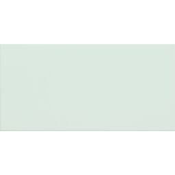 Domino, Delice, DOMINO DELICE MINT PŁYTKA ŚCIENNA 22.3X44.8 