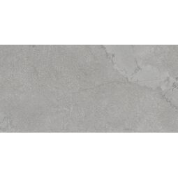 Domino, Efemera, DOMINO EFEMERA GREY STR PŁYTKA ŚCIENNA 29.8X59.8X0.8 