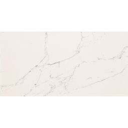 Domino, Elba, DOMINO ELBA WHITE PŁYTKA ŚCIENNA 30.8X60.8 