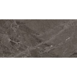 Domino, Linea, DOMINO LINEA BROWN GLOSSY PŁYTKA ŚCIENNA 29.8X59.8 